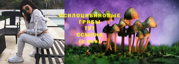 mdpv Алзамай
